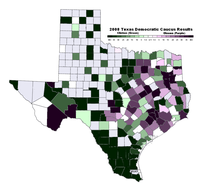 Texas_caucus_dem_public
